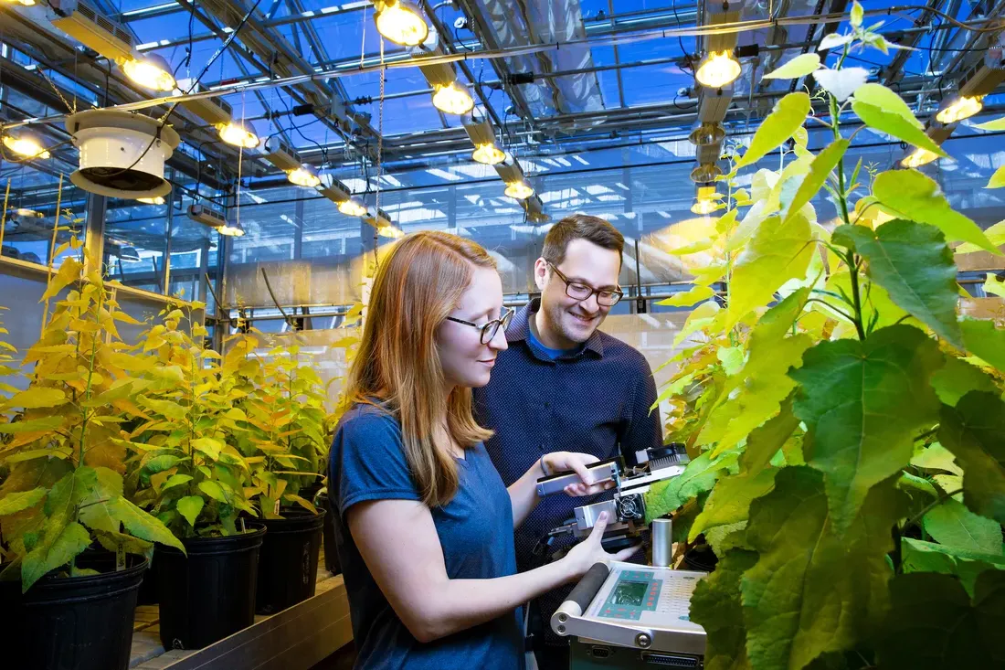 People observing plants in a greenhouse.